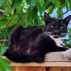 A Little Bit About Me; DJ